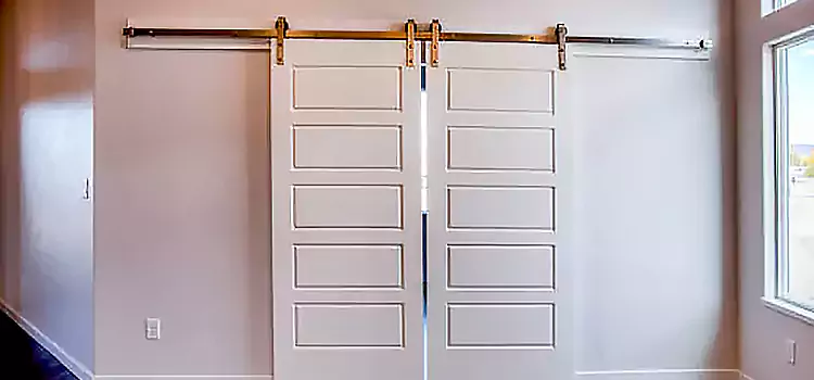 Glass Barn Door with Installation Hardware Kit Springdale