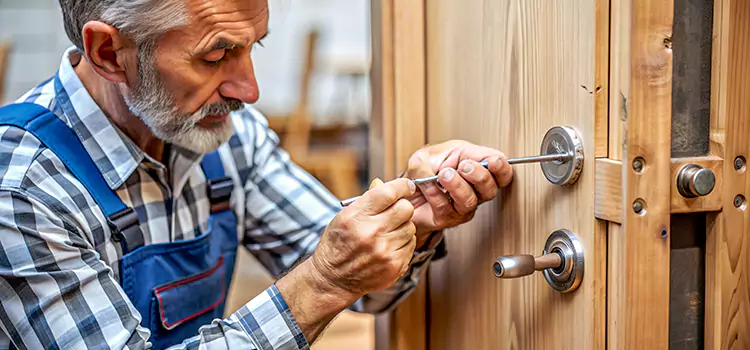 Mortise Replacement Lock Springdale